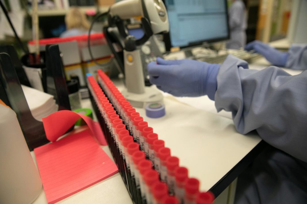 coronavirus-vaccine-may-be-close-to-being-developed-after-tests-on-mice,-scientists-believe