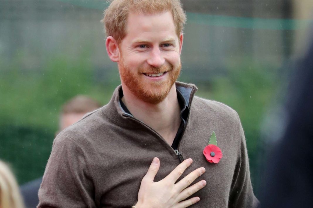 prince-harry-hails-'wonderfully-british-response'-to-covid-19-and-gives-shout-out-to-'amazing'-captain-tom-moore