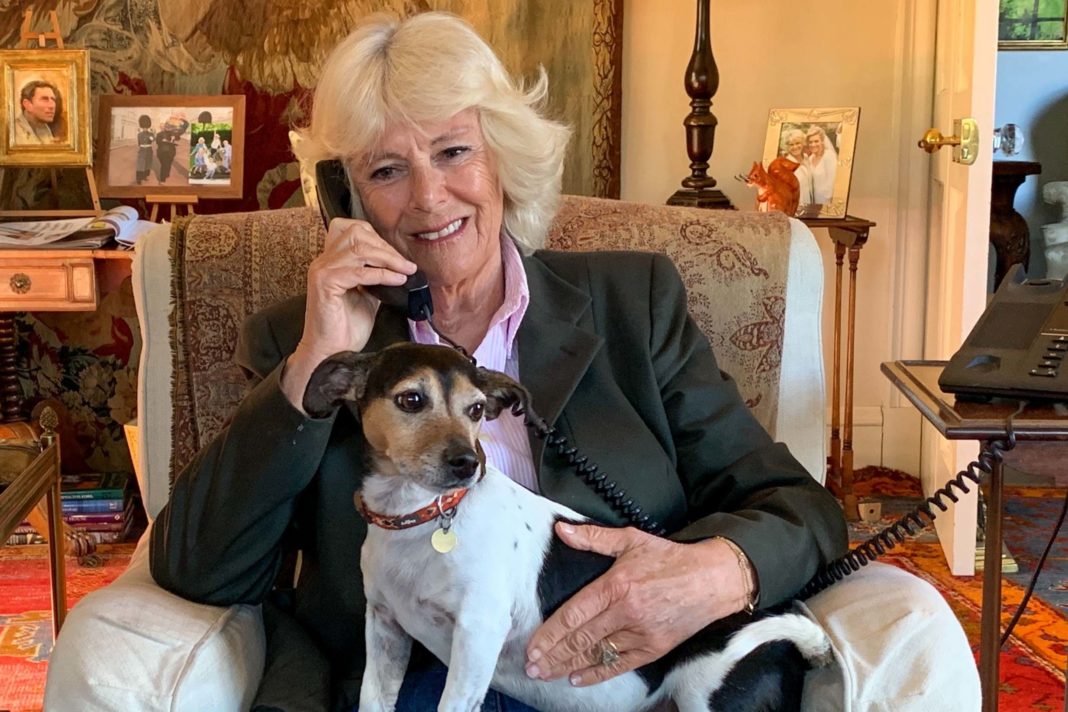 camilla:-i've-really-been-missing-my-grandchildren-during-the-coronavirus-lockdown