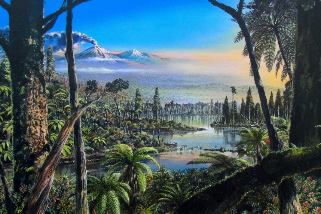 rainforests-covered-antarctica-90-million-years-ago-when-dinosaurs-roamed-the-earth,-study-shows