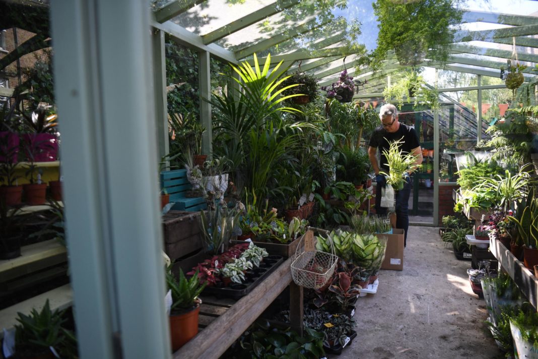boris-johnson-to-announce-reopening-of-garden-centres-in-england-from-monday