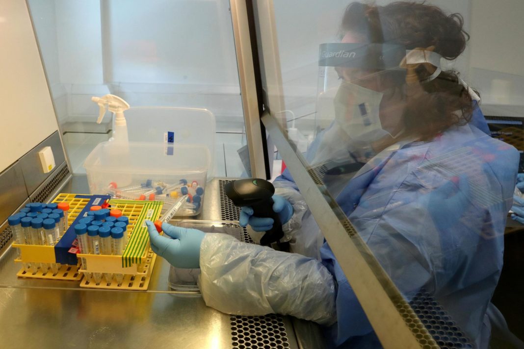 government-signs-contract-to-supply-10-million-roche-and-abbott-antibody-tests