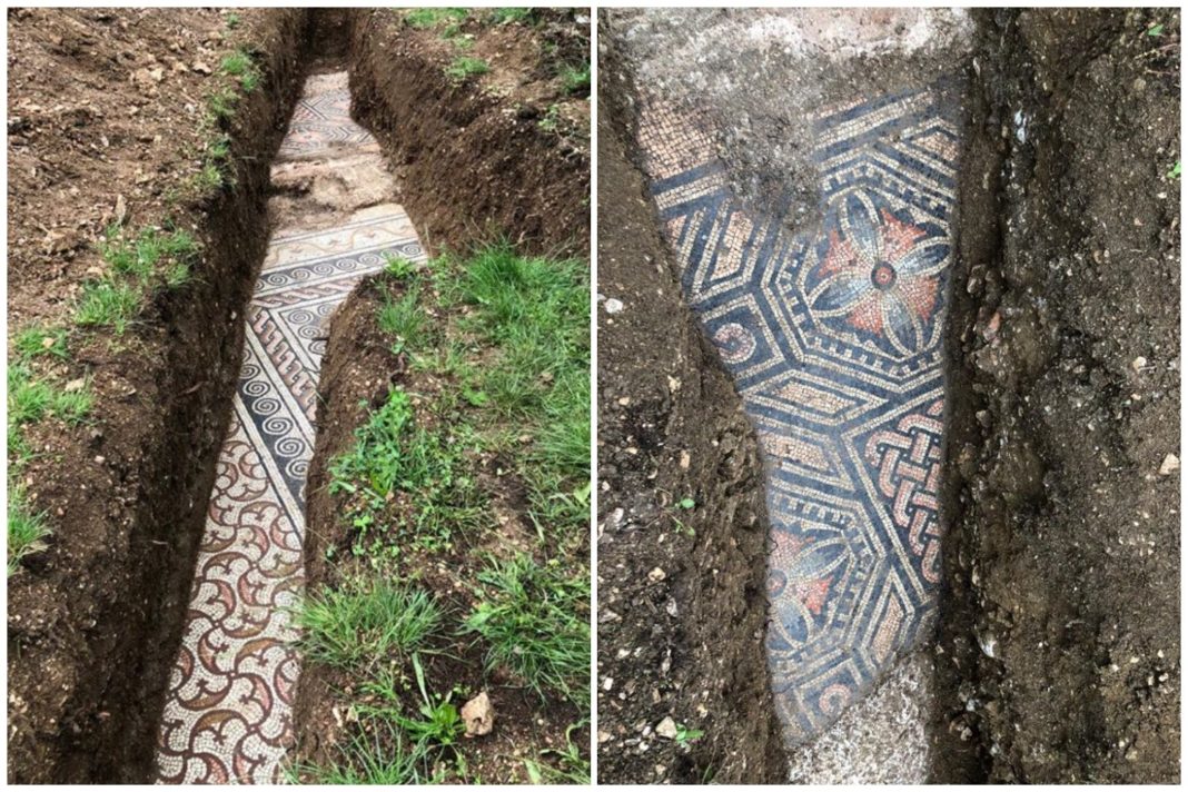 intricate-roman-mosaic-found-underneath-italian-vineyard