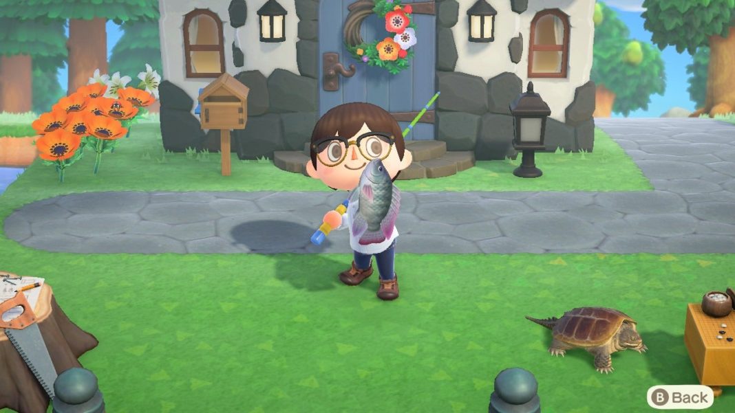 all-the-new-fish-coming-to-animal-crossing:-new-horizons-in-june