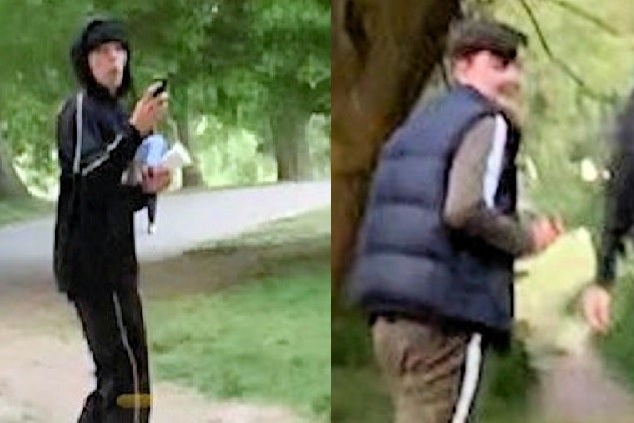 young-woman-racially-abused-by-four-men-in-'cowardly'-attack-as-she-walked-alone-on-hampstead-heath