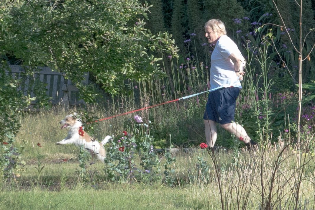 uk-coronavirus-live:-boris-johnson-to-announce-reopening-of-pubs,-cinemas-and-museums-as-deaths-fall-to-lowest-level-since-lockdown