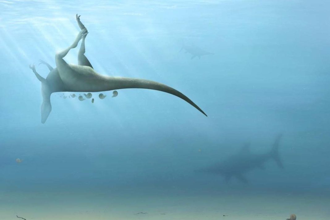 new-dinosaur-cousin-of-tyrannosaurus-rex-discovered-on-isle-of-wight