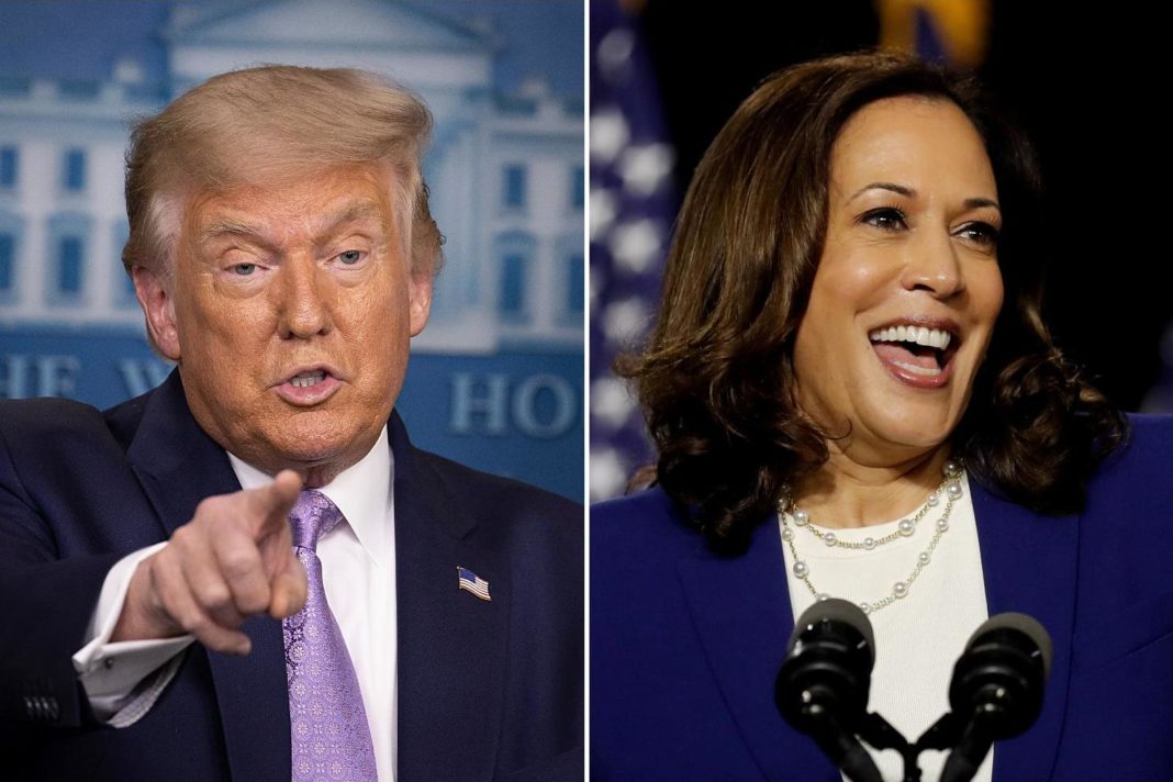 'birther':-donald-trump-says-he's-heard-rumours-kamala-harris-doesn't-meet-vice-president-'requirements'