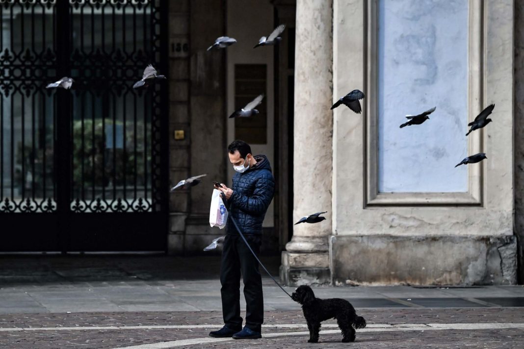german-dog-owners-'must-walk-their-pets-twice-a-day-under-new-law'