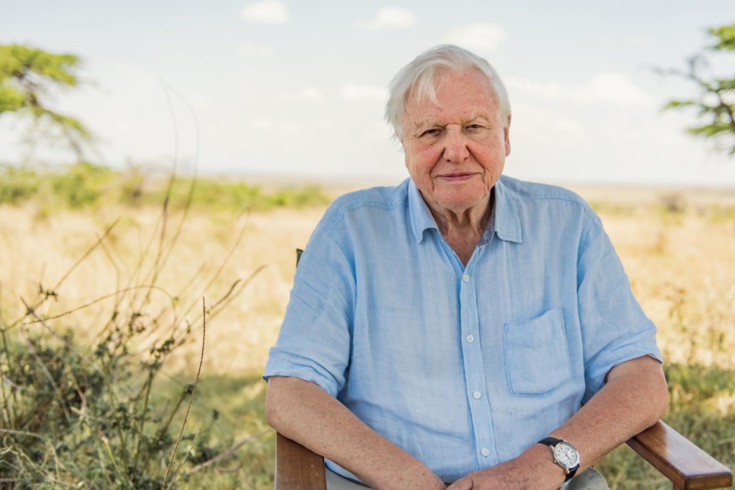 sir-david-attenborough-joins-instagram-to-spread-climate-change-warning