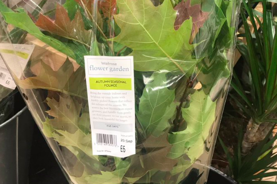 leaf-it-out!-waitrose-slammed-for-selling-bouquet-of-autumn-leaves-for-6