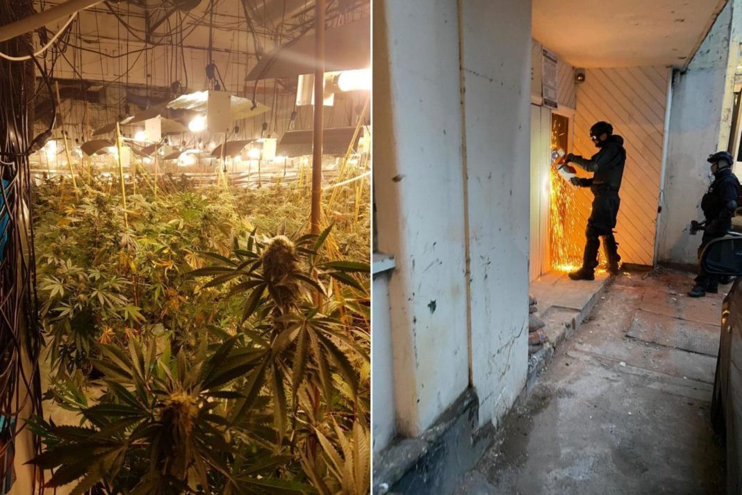 three-storey-cannabis-farm-discovered-in-abandoned-coventry-nightclub