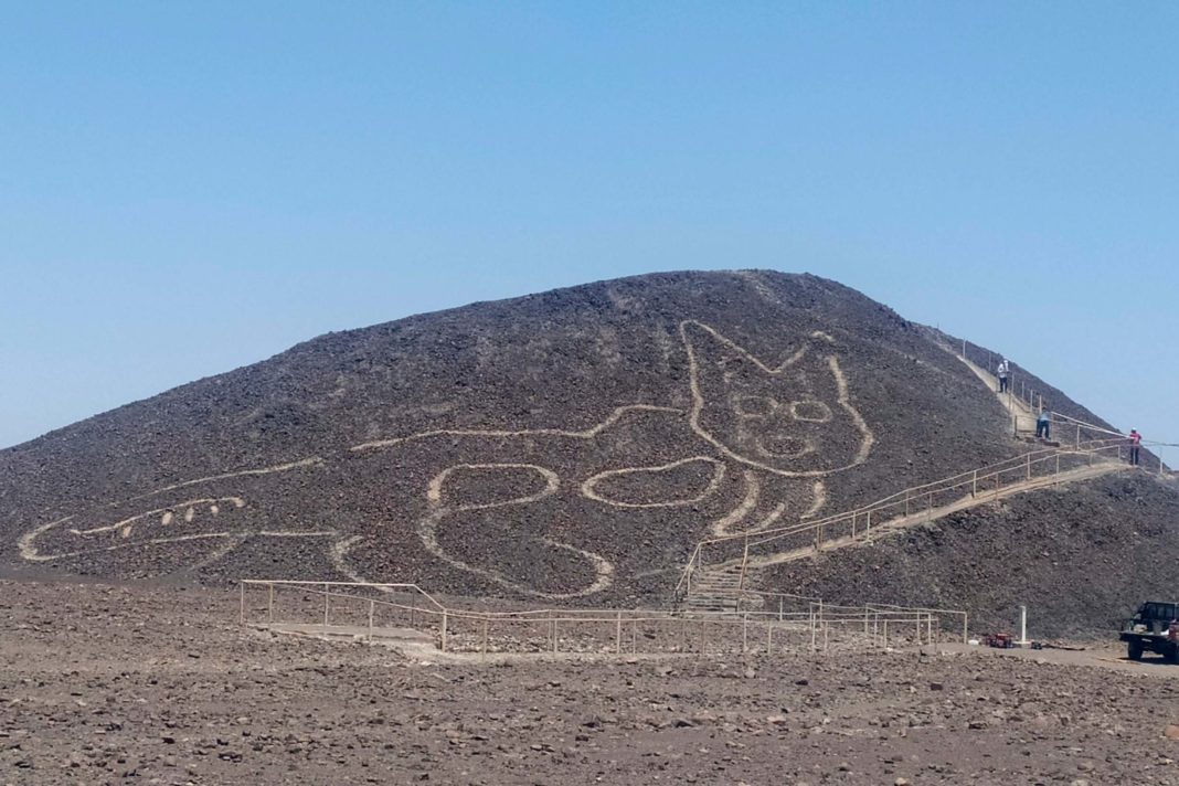 giant-2,000-year-old-cat-unearthed-in-peru's-nazca-lines