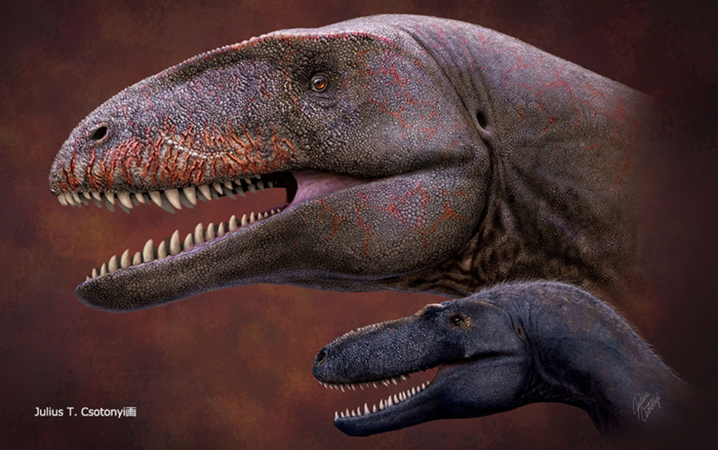 scientists-discover-gigantic-‘shark-toothed’-dinosaur-that-dominated-food-chain-before-tyrannosaurs