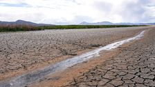 judge-tosses-trump-rollback-of-clean-water-safeguards