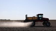 biden-epa-to-ban-chlorpyrifos,-a-pesticide-linked-to-brain-damage-in-children