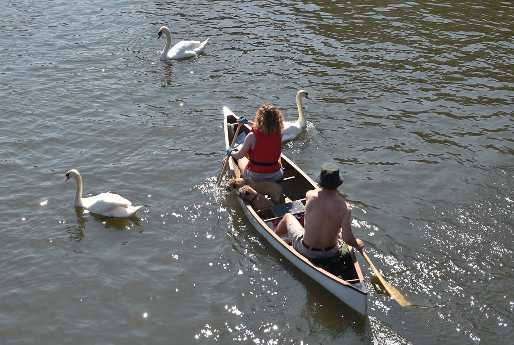 rivers,-wetlands-and-waters-polluted-by-agriculture-and-sewage-–-report