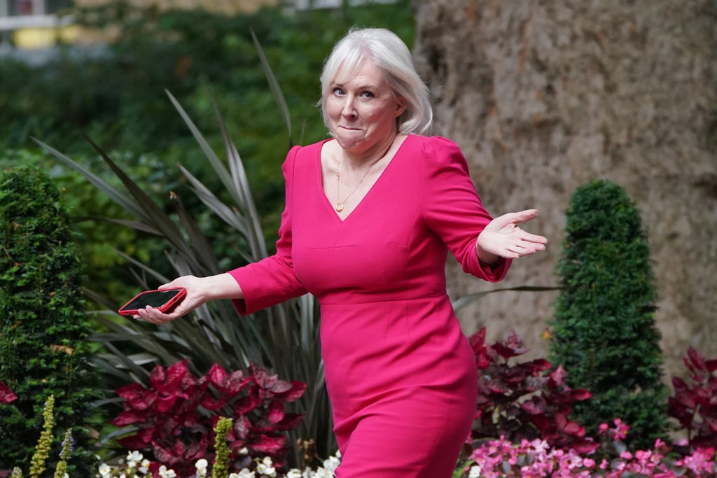 ‘she’s-a-best-selling-author’:-minister-defends-appointment-of-nadine-dorries-as-culture-secretary