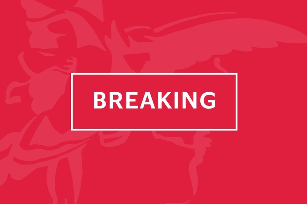 two-killed-in-stabbing-as-police-fire-shots-at-‘man-with-crossbow’-in-netherlands