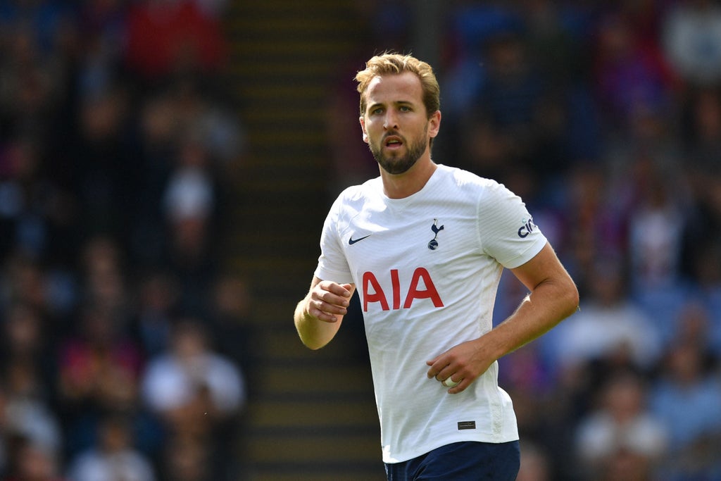 chelsea-boss-thomas-tuchel-thought-harry-kane-would-leave-tottenham-for-manchester-city-in-summer