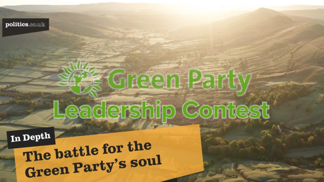the-battle-for-the-green-party’s-soul