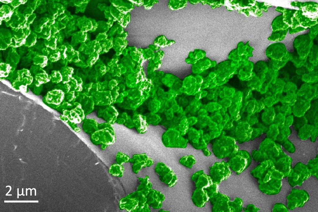 scientists-engineer-rechargeable-glow-in-the-dark-plants-than-can-be-charged-by-an-led