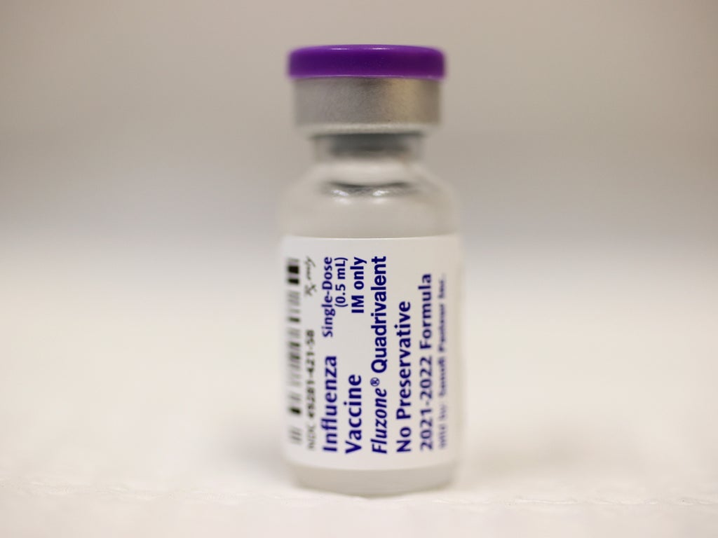 who-holds-crucial-meetings-to-decide-influenza-strains-for-jab