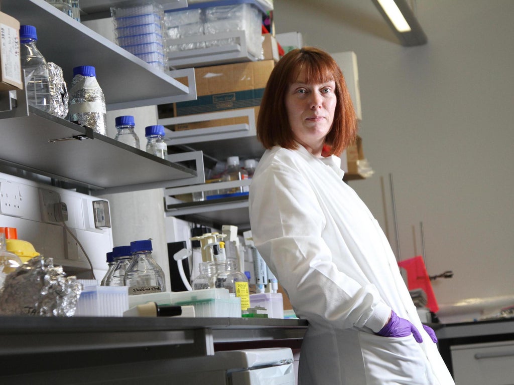 oxford-vaccine-chief-struggling-to-raise-funding-for-non-covid-jabs