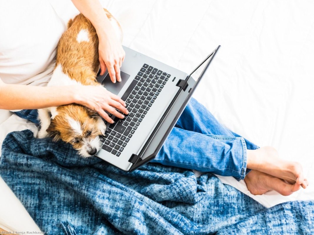 govt-proposes-right-to-request-flexible-working-from-day-one-of-work