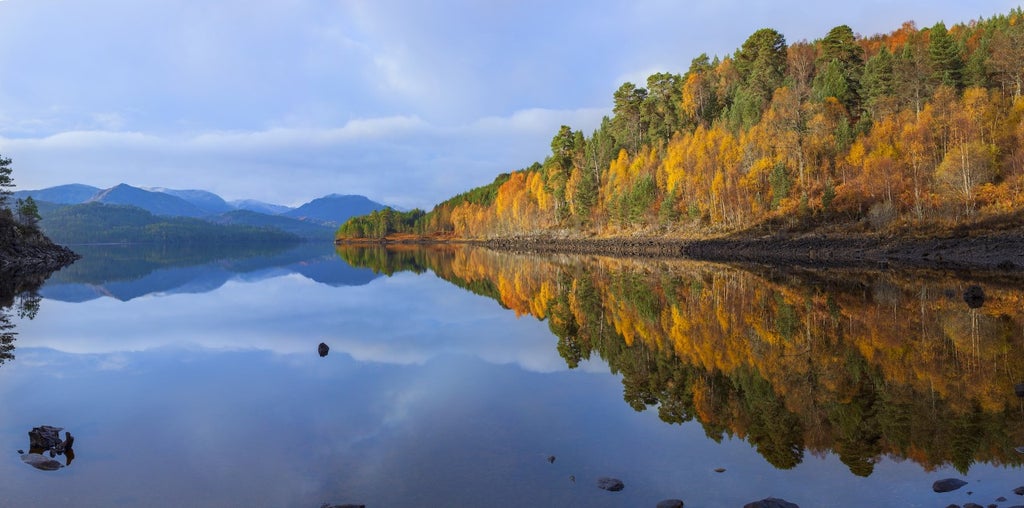 rewilding-project-for-half-a-million-acres-of-scottish-highlands-launched
