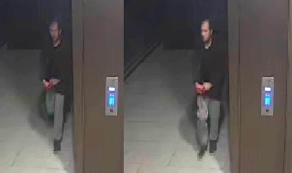 sabina-nessa:-police-make-cctv-appeal-as-man-held-on-suspicion-of-london-teacher’s-murder