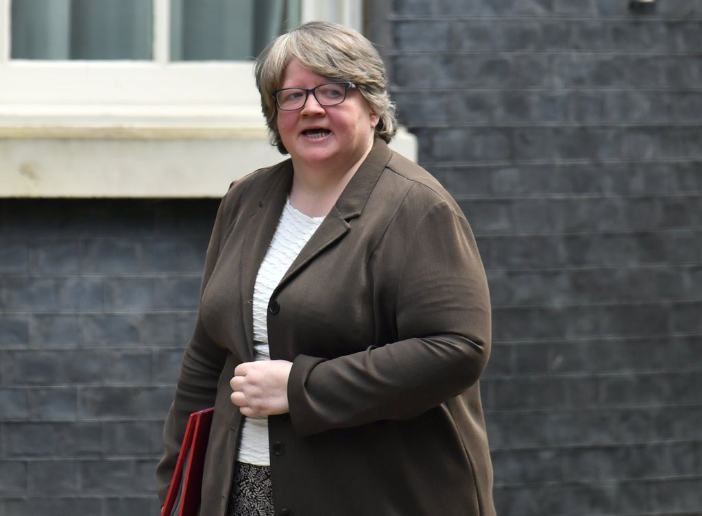 stopping-benefits-to-eu-citizens-without-settled-status-‘unnecessary’,-uk-told