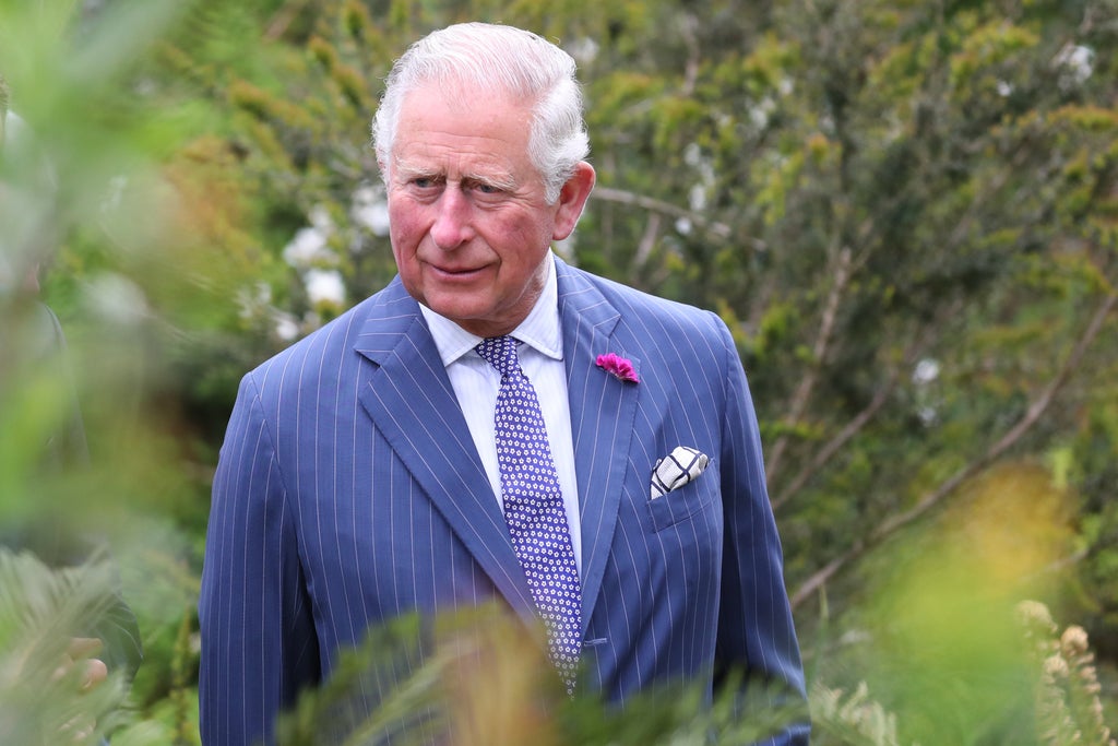 charles-curates-climate-change-channel-for-amazon-prime