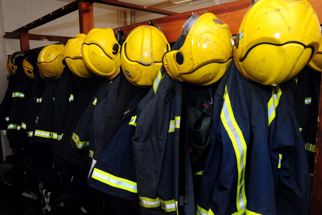 firefighters-rescue-escaped-iguana-from-pub-roof