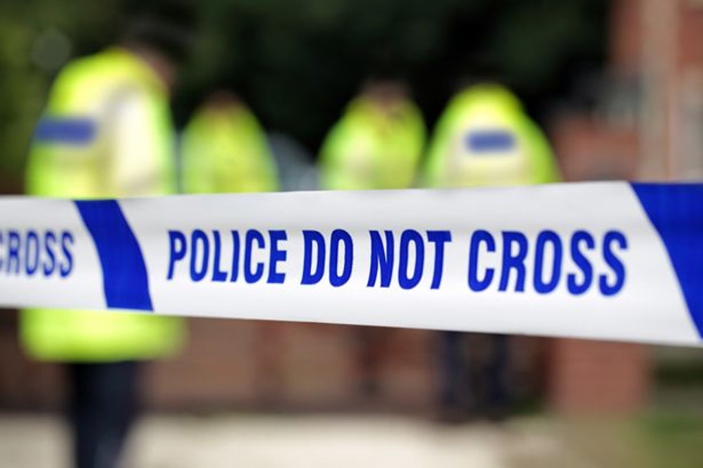 police-appeal-to-black-cab-driver-‘who-picked-up-suspect’-to-come-forward-as-witness-in-camden-robbery
