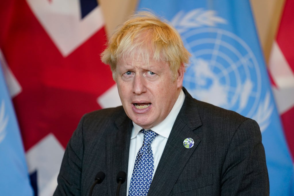 get-a-grip-on-fuel-crisis,-boris-johnson-is-warned