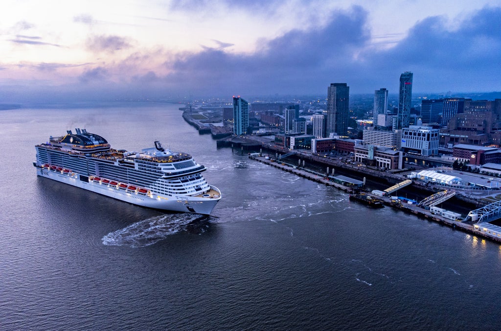 cruise-ship-industry-should-be-regulated-over-health-fears,-say-academics