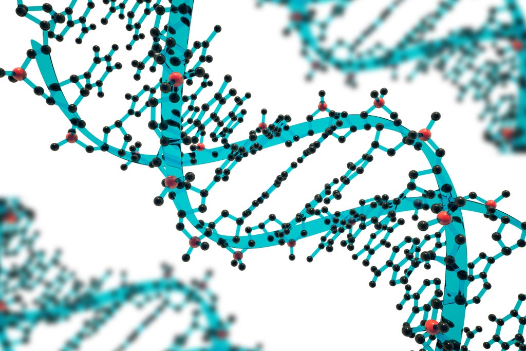 what-is-gene-editing-and-how-could-it-be-used-to-develop-new-food-crops?