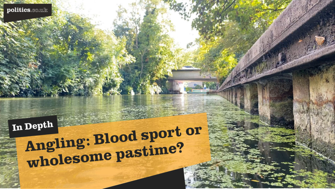 angling:-blood-sport-or-wholesome-pastime?
