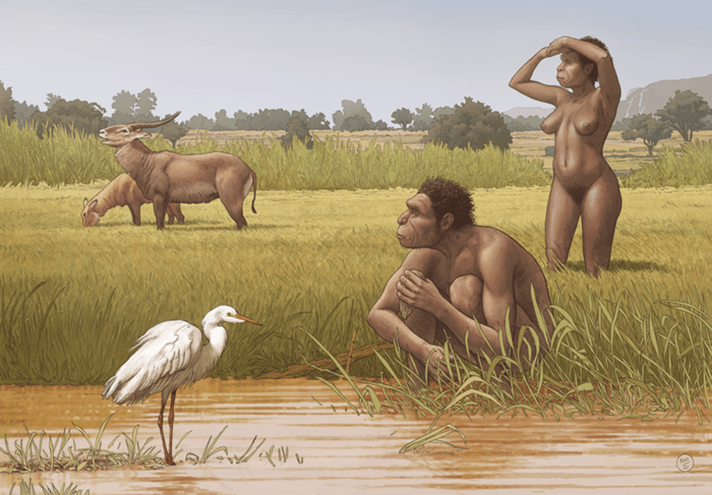 new-species-of-early-human-who-lived-500,000-years-ago-named-by-scientists