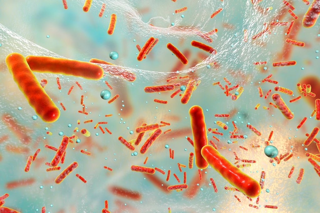 first-‘living-medicine’-that-treats-antibiotic-resistant-bacteria-developed-by-scientists