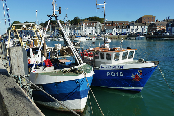 uk’s-post-brexit-trade-deal-with-norway,-iceland-and-liechtenstein-could-reduce-fish-prices