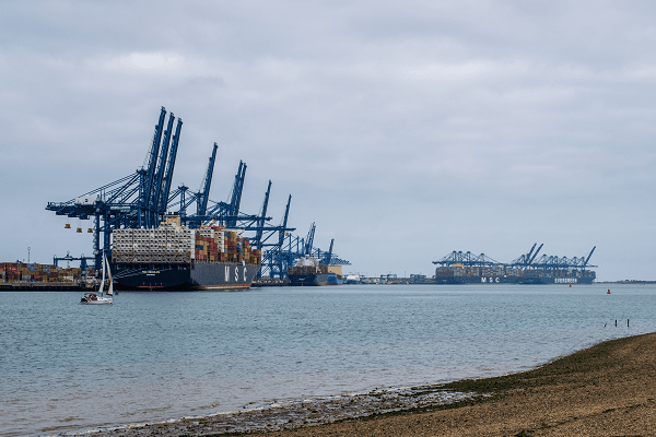 expert-warns-forget-christmas-as-that-ship-may-have-already-sailed