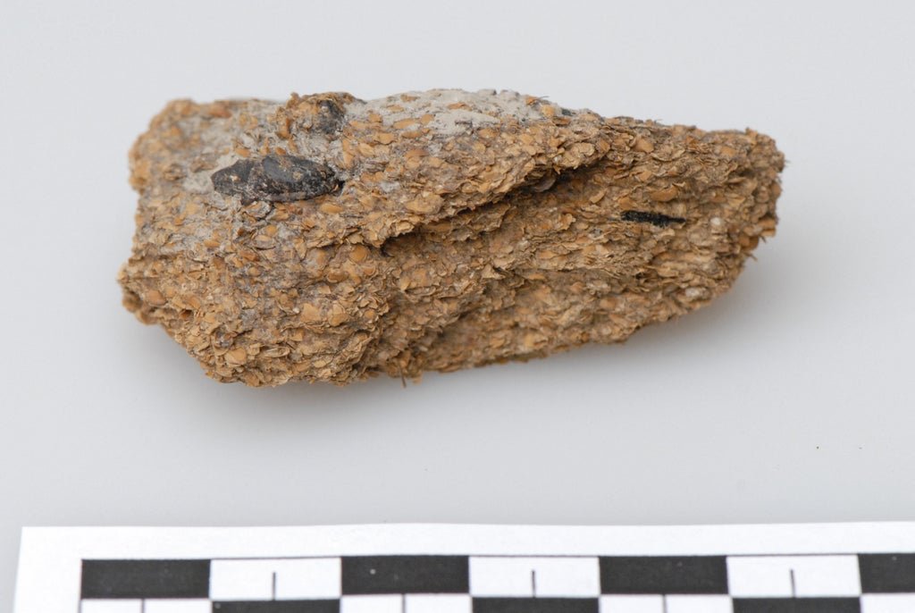 miners-had-remarkably-‘sophisticated’-diet-of-blue-cheese-and-beer-2,700-years-ago