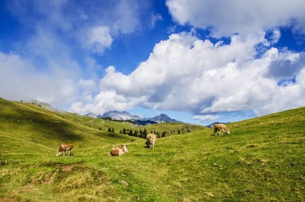 switzerland-is-serious-about-bitcoin:-three-exciting-crypto-news-updates-from-the-swiss-confederation