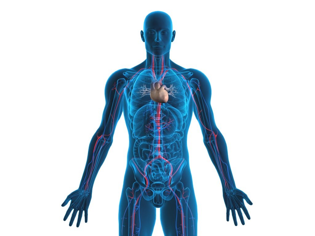 how-does-depression-and-anxiety-affect-the-body?