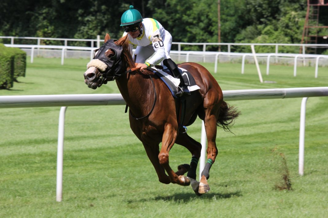 biggest-challenges-that-the-horse-racing-industry-faces-today