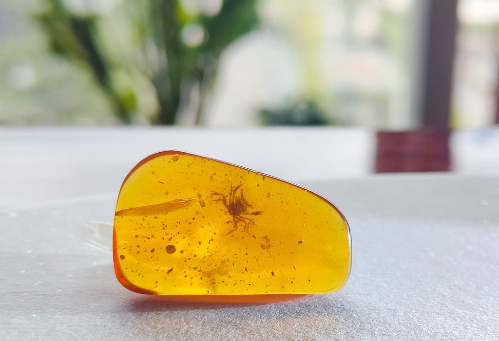 scientists-find-prehistoric-crab-trapped-in-amber-for-100-million-years