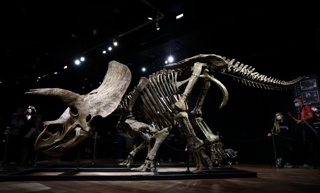 world’s-largest-triceratops-skeleton-sells-for-$7.7mn-at-paris-auction-house