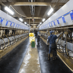 british-farmers-care-too-and-they-are-not-the-villains-in-the-climate-change-debate